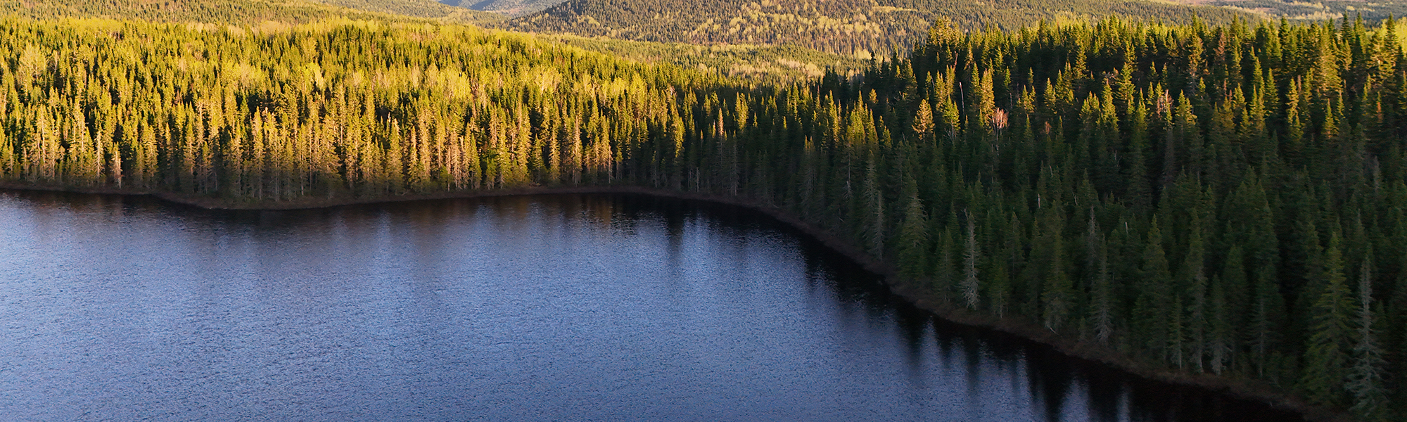 dji_fly_20250527_191826_0625_1748388511326_photo